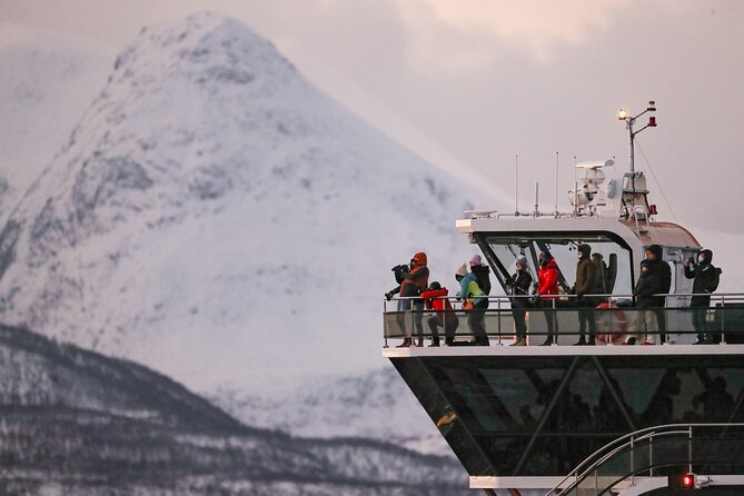 Silent Whale Watching by Hybrid-Electric Boat from Tromsø - Food, drinks, and what to pack