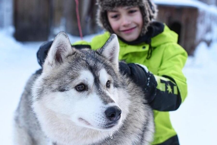 Sirkka: Husky Sled Ride in Levi 2km or 5 km from Levi - Learning about the dogs after the ride