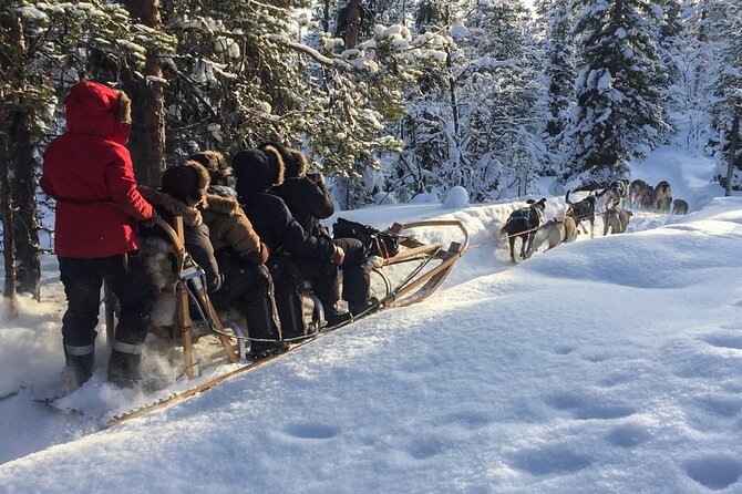 Sit Down Husky Ride Dog Sled Tour in Kiruna - A sit-down husky ride near Kiruna