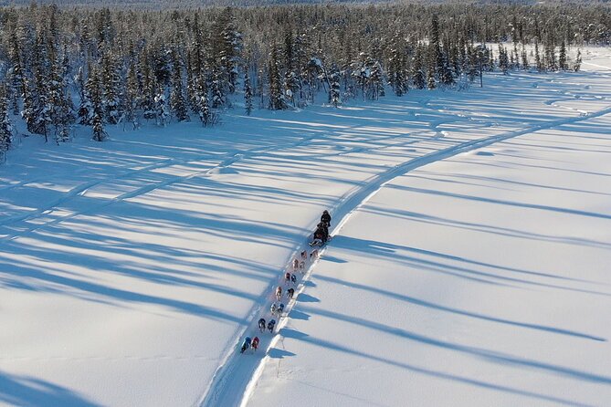 Sit Down Husky Ride Dog Sled Tour in Kiruna - Weather, comfort, and what to wear