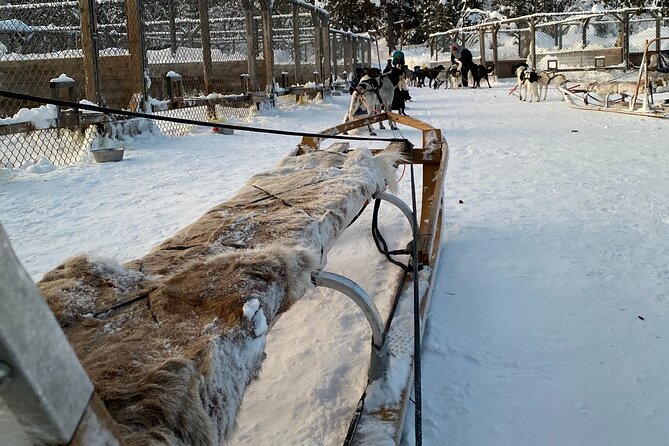 Sit Down Husky Ride Dog Sled Tour in Kiruna - A practical family choice in Kiruna