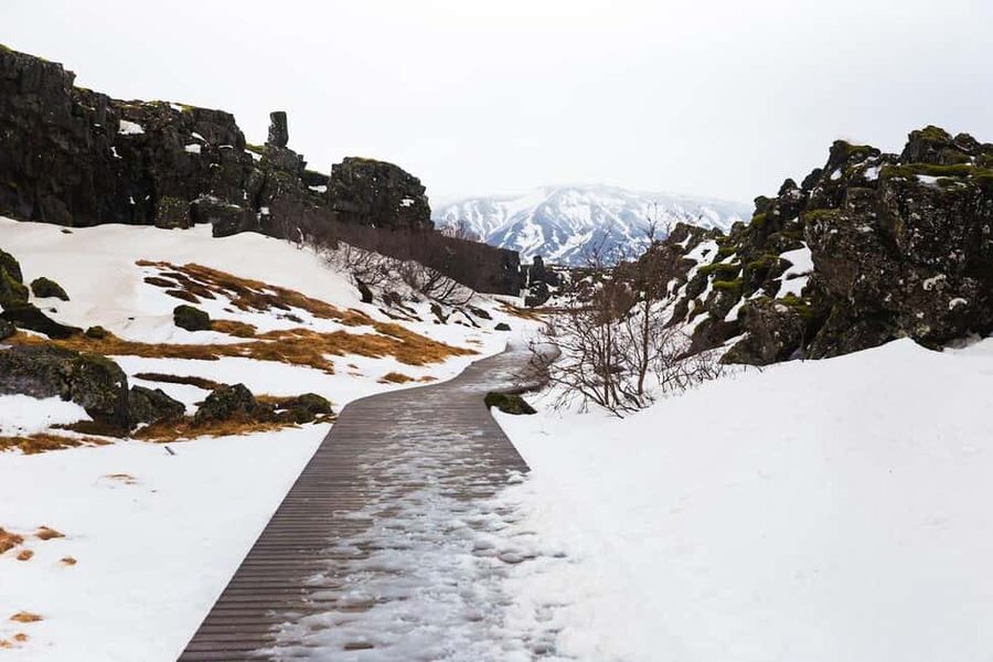 Skarfabakki: Golden Circle Small-Group Full-day Tour - Efstidalur dairy farm and a taste of local Iceland