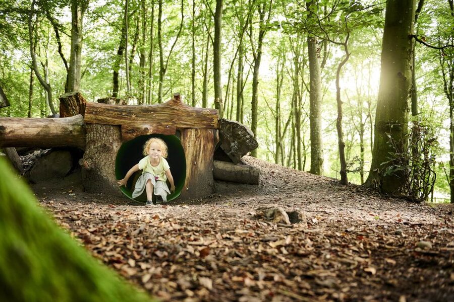 Skjern: WOW PARK Entry Ticket - A forest playground where you set the pace