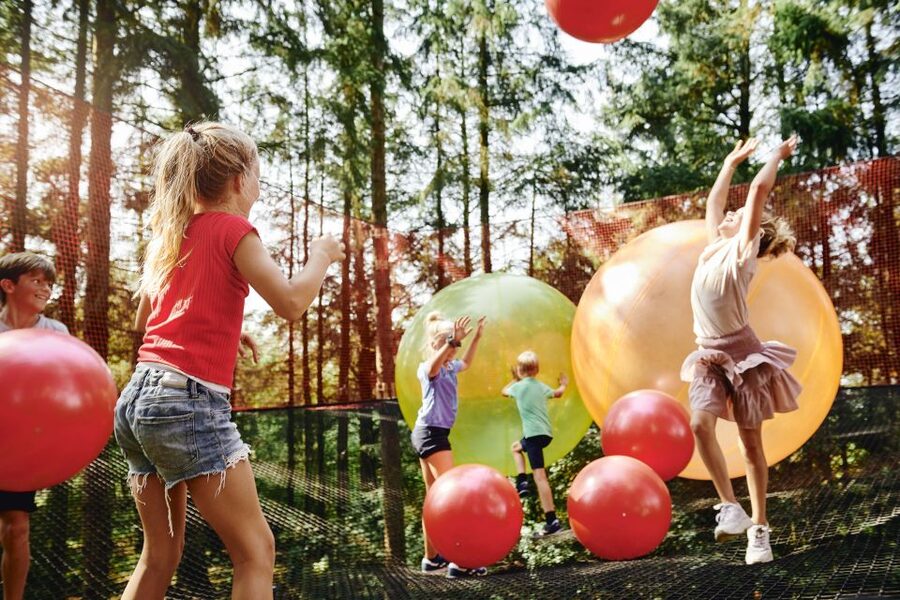 Skjern: WOW PARK Entry Ticket - Slides, treehouses, and giant suspended balls