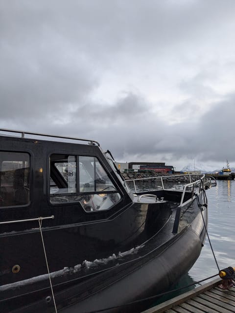 Skjervøy: Orca and Whale-Watching comfort heated Boat Trip - Why this Skjervøy whale trip is different