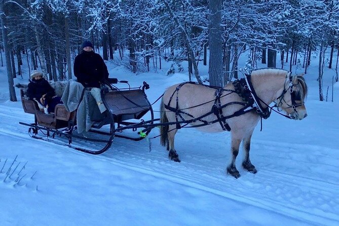 Sleigh or wagon ride in the arctic Country side - Meeting the horse and settling in at Flatmoen Gård
