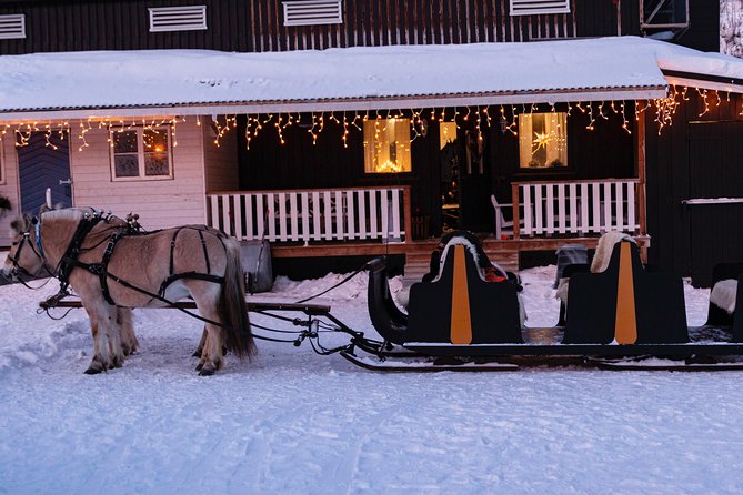 Sleigh Ride w/ snacks - Experience Arctic Farm Life - From Alta to a Family Farm in the Arctic Countryside