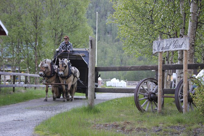 Sleigh Ride w/ snacks - Experience Arctic Farm Life - Private Touring Makes the Two and a Half Hours Count