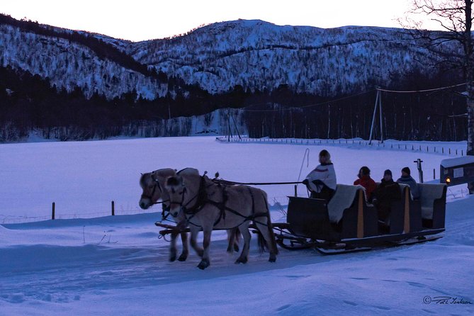 Sleigh Ride w/ snacks - Experience Arctic Farm Life - Is $183.08 a Fair Price?