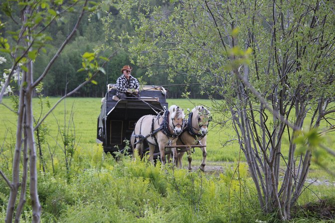 Sleigh Ride w/ snacks - Experience Arctic Farm Life - Who Will Enjoy This Arctic Farm Visit?