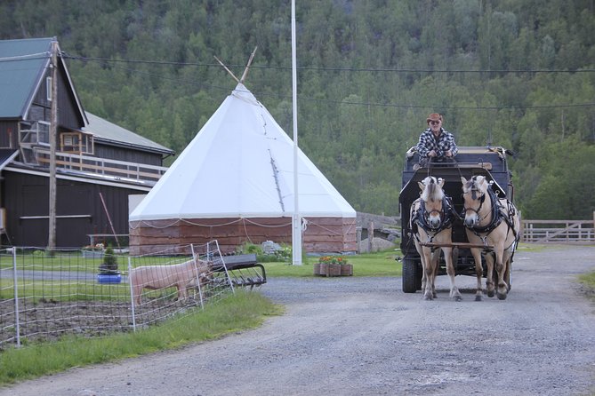 Sleigh Ride w/ snacks - Experience Arctic Farm Life - Weather, Seasons, and the Best Time to Go
