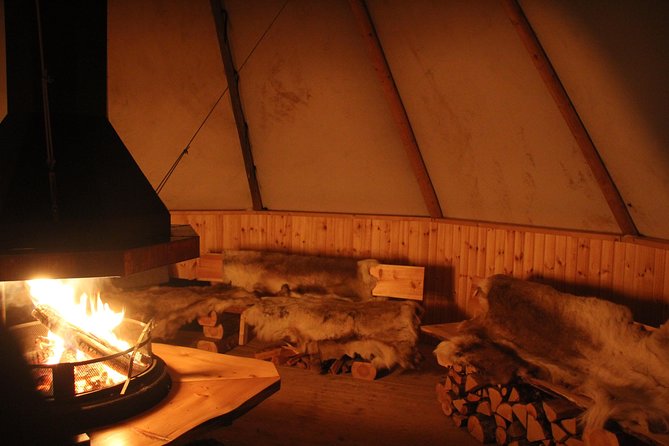 Sleigh Ride w/ snacks - Experience Arctic Farm Life - Should You Book Omdal Gard?