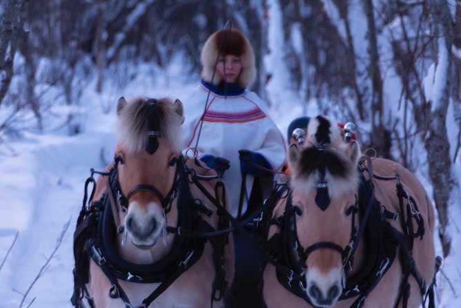 Sleigh Ride w/ Tapas Meal - Experience Arctic Farm Life - Blankets, Horses, and the 30-Minute Sleigh Ride