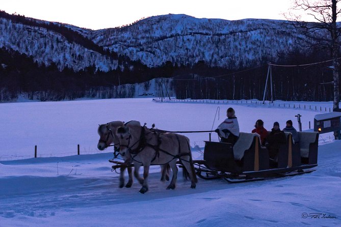 Sleigh Ride w/ Tapas Meal - Experience Arctic Farm Life - What the $236.79 Price Really Covers