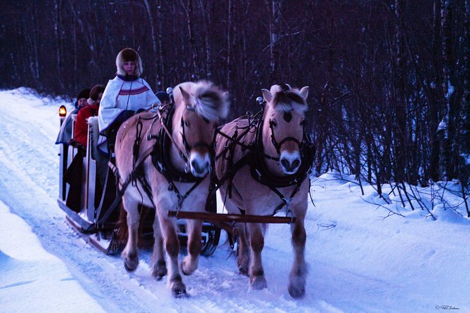 Sleigh Ride w/ Tapas Meal - Experience Arctic Farm Life - FAQ