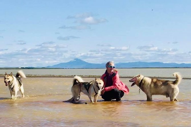 Small Group Husky Sledding Tour from Capital Region - Why the dog contact matters