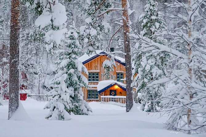 Small Group Wilderness Husky Sledding 2h from Tromsø (car needed) - Two hours through quiet snowy forest