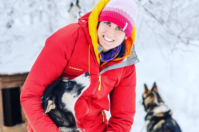 Small Group Wilderness Husky Sledding 2h from Tromsø (car needed) - A Norwegian picnic beside the fire