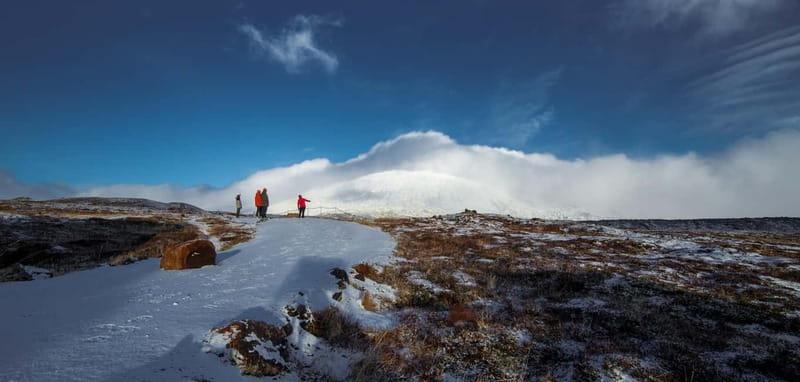 Snæfellsnes: Vatnshellir Lava Cave Tour - The practical value of a $43 ticket