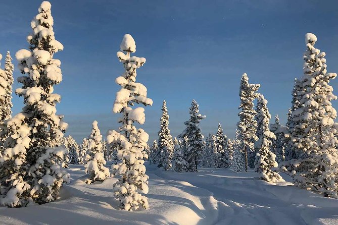 Snowmobile Arctic Adventure - Lunch by the fire in a wooden hut