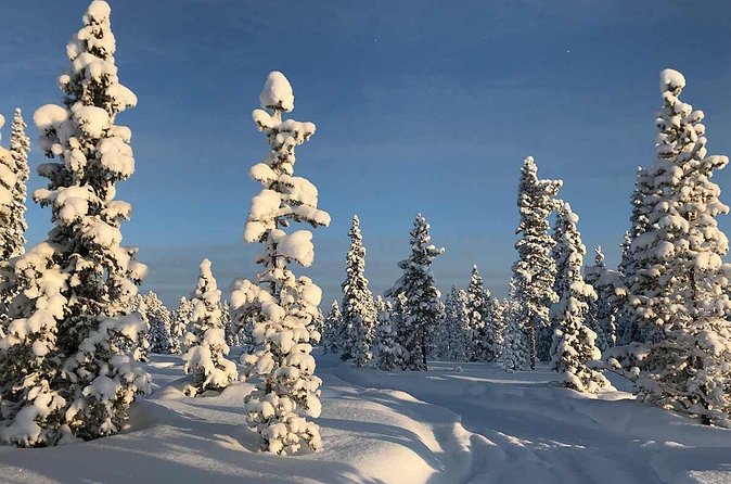 Snowmobile Arctic Adventure - Guides who shape the day