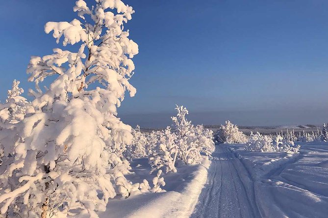 Snowmobile Arctic Adventure - Learning to handle a snowmobile