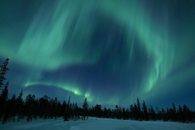 Snowmobile Aurora Expedition with dinner - From Torggatan 4 to the Arctic Forest