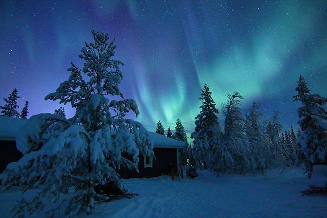 Snowmobile Aurora Expedition with dinner - Hunting the Northern Lights in Real Time