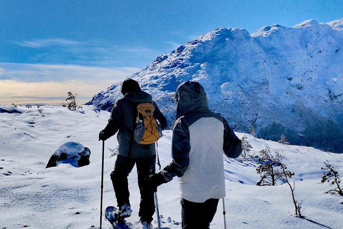 Snowshoe hiking in Bergen - Public tour - Who should book this winter outing?