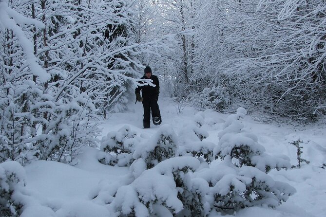 Snowshoe in a Winter Forest - A gentle way to enter Swedish Lapland
