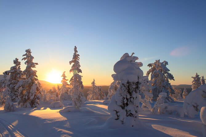 Snowshoe in a Winter Forest - Anders brings the local detail