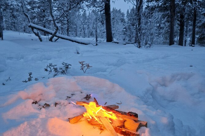 Snowshoe in a Winter Forest - Clothing matters more than the easy rating