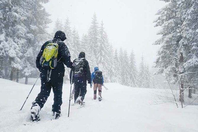Snowshoe Tour in Winter Wonderland - Oslo - Key points before you book