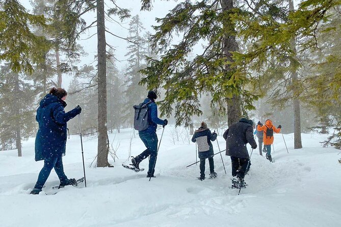 Snowshoe Tour in Winter Wonderland - Oslo - A short outing with room for conversation