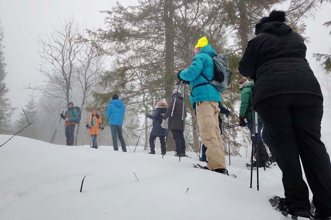 Snowshoe Tour in Winter Wonderland - Oslo - What to wear for a Norwegian winter outing