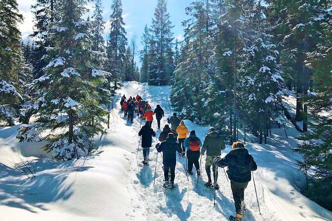Snowshoe Tour in Winter Wonderland - Oslo - Is $106.65 good value?