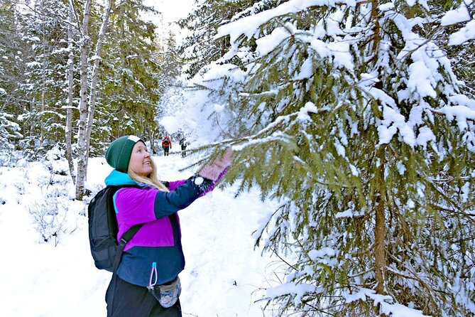 Snowshoe Tour in Winter Wonderland - Oslo - The return to central Oslo