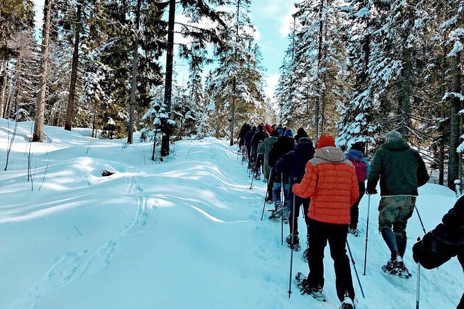 Snowshoe Tour in Winter Wonderland - Oslo - Who will enjoy this most?