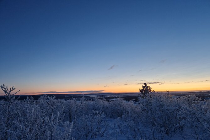 Snowshoe up a Mountain - Animal tracks and local stories