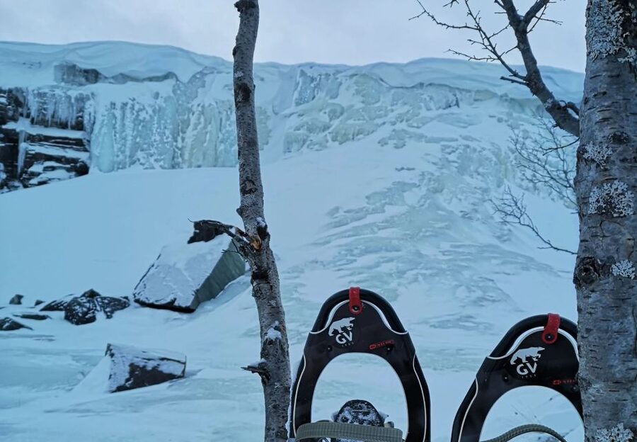Snowshoeing Adventure to the Enchanting Frozen Waterfall - Small discoveries before the waterfall