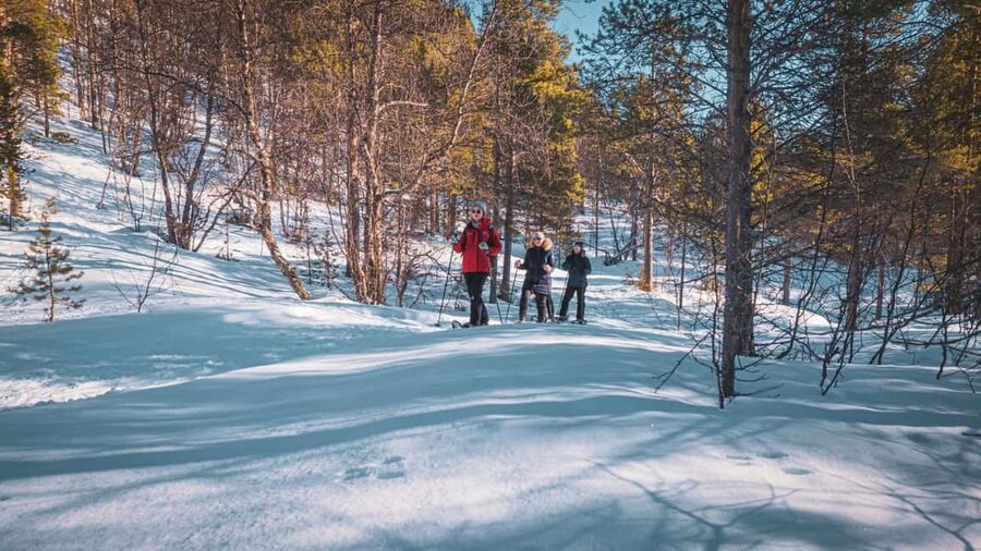 Snowshoeing Adventure to the Enchanting Frozen Waterfall - Reaching frozen Orvvosfossen
