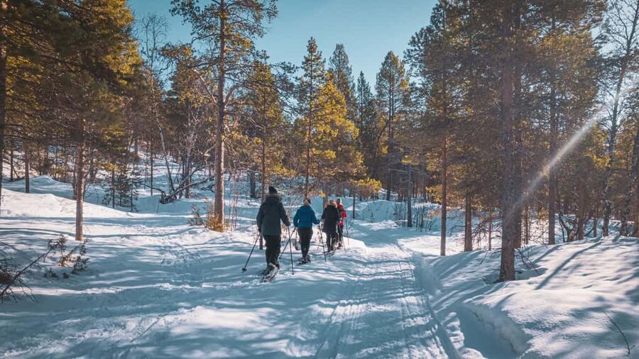 Snowshoeing Adventure to the Enchanting Frozen Waterfall - How demanding is the 4.5-kilometer route?