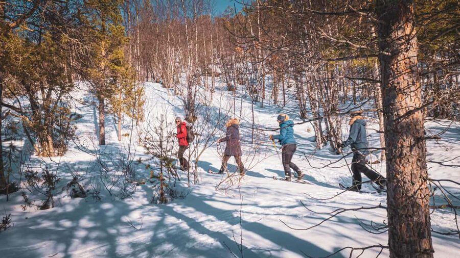 Snowshoeing Adventure to the Enchanting Frozen Waterfall - Timing, clothing, and practical details