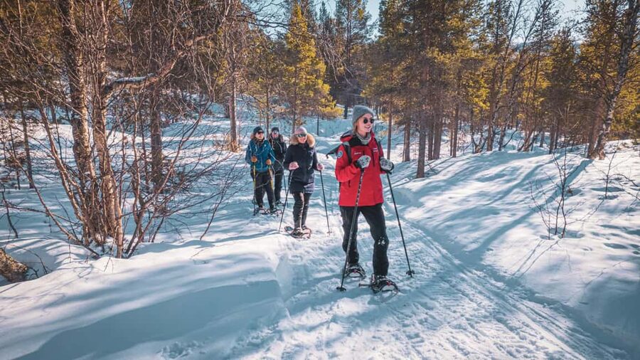 Snowshoeing Adventure to the Enchanting Frozen Waterfall - Who will enjoy this Alta snowshoe walk?
