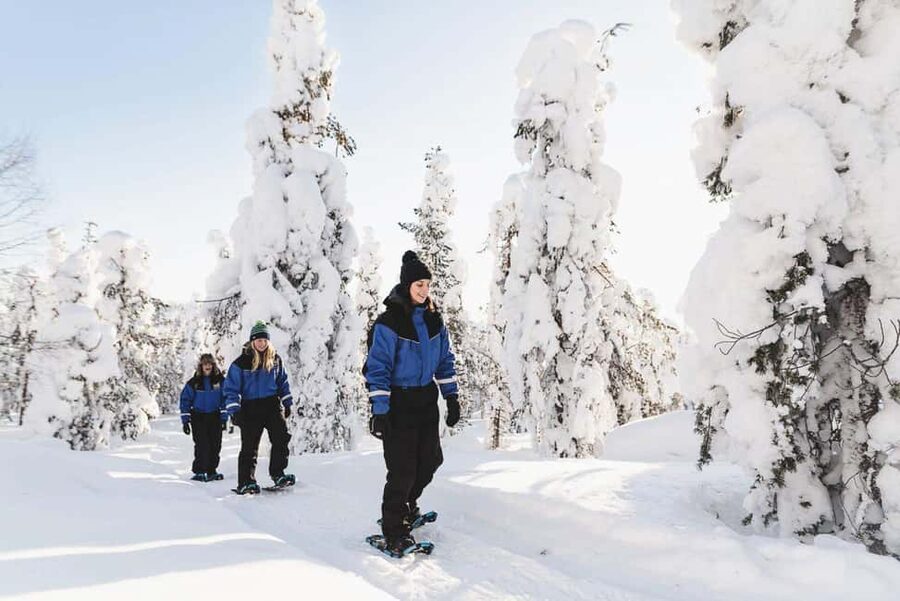 Snowshoeing in the Arctic Wilderness - Key points to know before you book