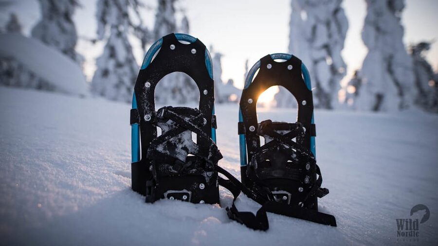 Snowshoeing in the Arctic Wilderness - The value of a small English-speaking group