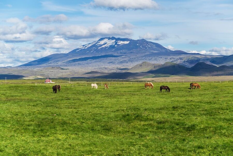 South Coast Classic: Full-Day Tour from Reykjavik - Why this South Coast tour works so well