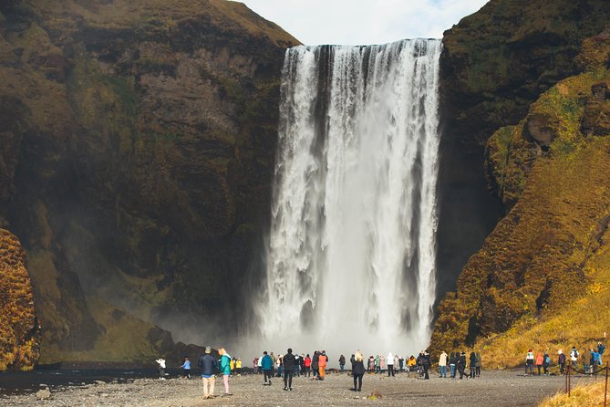 South Coast Day Tour Black Sand Beach & Waterfalls from Reykjavik - Reynisfjara: black sand, basalt, and serious wave danger
