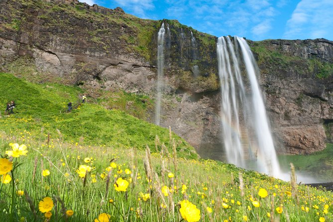 South Coast Sagas: Small Group Tour with Pick-up from Reykjavik - Vik gives you a high view before the beach