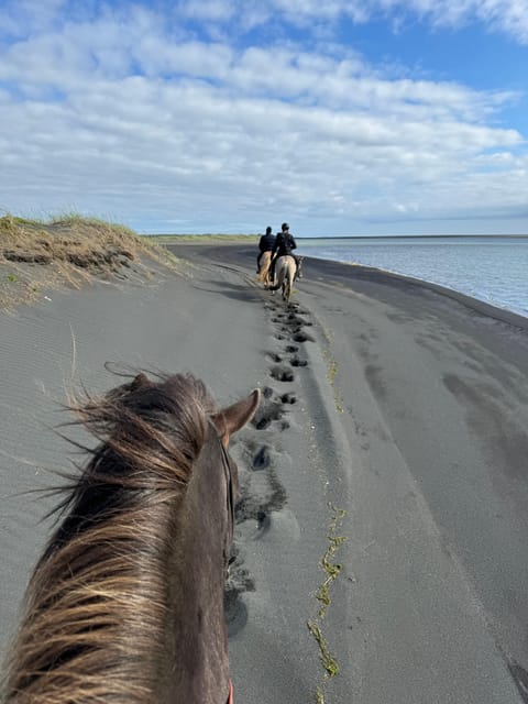 southern Iceland: Black beach riding tour - Getting ready for the two-hour beach ride